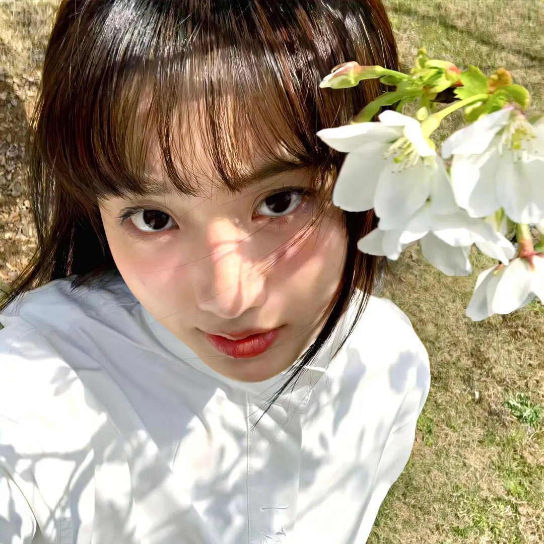 神奇的花朵